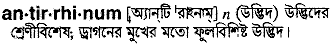 antirrhinum
meaning in bengali