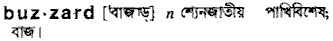 buzzard
meaning in bengali
