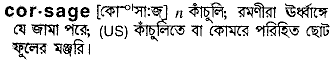 corsage
meaning in bengali