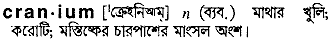 cranium
meaning in bengali