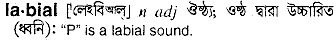 labial
meaning in bengali