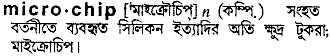 microchip
meaning in bengali