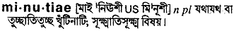 minutiae
meaning in bengali