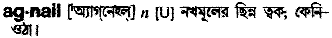 agnail
meaning in bengali