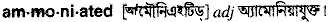 ammoniated
meaning in bengali