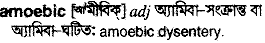 amoebic
meaning in bengali