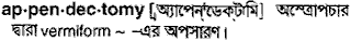 appendectomy
meaning in bengali