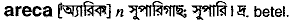 areca
meaning in bengali
