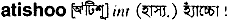 atishoo
meaning in bengali
