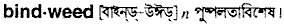 bindweed
meaning in bengali