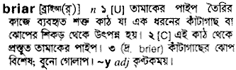 briar
meaning in bengali