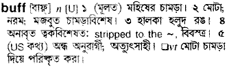 Buff meaning in bengali