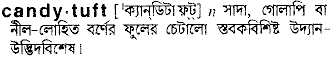 candytuft
meaning in bengali