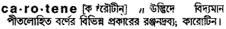 carotene
meaning in bengali