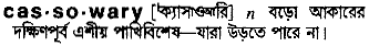 cassowary
meaning in bengali
