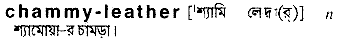 chammy leather
meaning in bengali