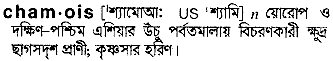 chamois
meaning in bengali