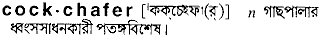 cockchafer
meaning in bengali