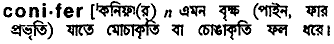 conifer
meaning in bengali