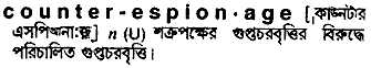 counter espionage
meaning in bengali