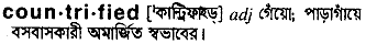 countrified
meaning in bengali