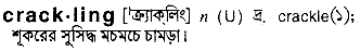 crackling
meaning in bengali