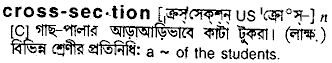 cross section
meaning in bengali
