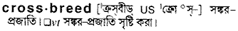 crossbreed
meaning in bengali