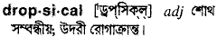 dropsical
meaning in bengali