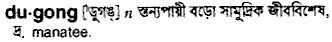 dugong
meaning in bengali