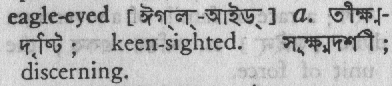 eagle eyed
meaning in bengali