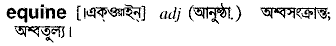equine
meaning in bengali