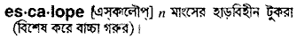 escalope
meaning in bengali