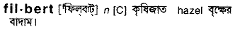 filbert
meaning in bengali