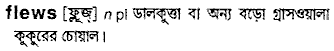 flews
meaning in bengali