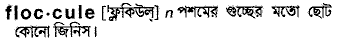 floccule
meaning in bengali