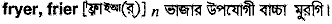 frier
meaning in bengali