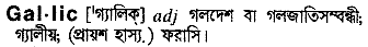 gallic
meaning in bengali