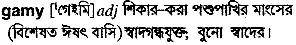 gamy
meaning in bengali