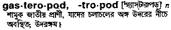 gastropod
meaning in bengali