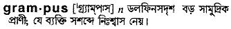 grampus
meaning in bengali