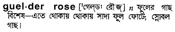 guelder rose
meaning in bengali