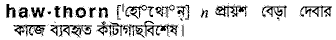 hawthorn
meaning in bengali