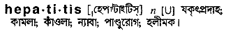 hepatitis
meaning in bengali
