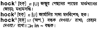 hock
meaning in bengali