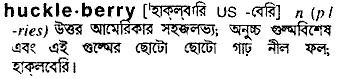 huckleberry
meaning in bengali