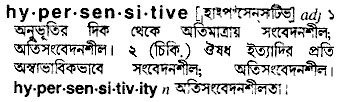 hypersensitive
meaning in bengali