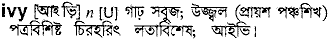 ivy
meaning in bengali