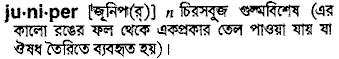 juniper
meaning in bengali