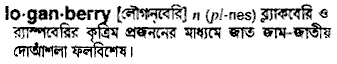 loganberry
meaning in bengali